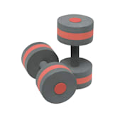 Speedo Charcoal/Red Aqua Fitness Barbells