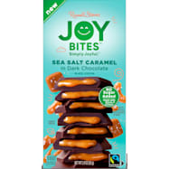 Russell Stover 2.9 oz Joy Bites Sea Salt Caramel in Dark Chocolate Bar