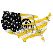 Fan Creations Iowa Hawkeyes Distressed USA Silhouette Flag Sign