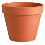 Deroma 16.9 in Standard Terracotta Pot