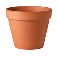Deroma 3.5 in Standard Terracotta Pot
