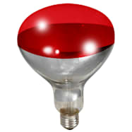 250W Red Replacement Bulb for Brooder Lamp