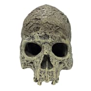 Multipet Human Skull Textured Hide for Reptiles