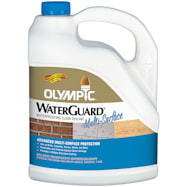 OLYMPIC Waterguard Waterproofing Multi-Surface Sealant