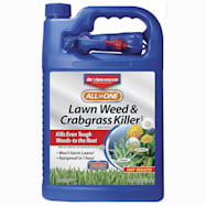 BioAdvanced 1 gal All-In-One Lawn Weed & Crabgrass Killer