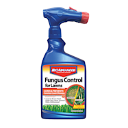 BioAdvanced 32 oz Fungus Control For Lawns Ready-to-Spray Fungus Spray