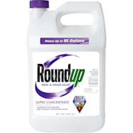 Roundup 1 gal Super Concentrate Weed & Grass Killer