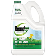 Roundup 1.25 gal For Lawns 1 Ready-to-Use Refill
