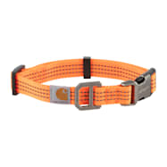Hunter Orange Tradesman Dog Collar