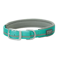 TERRAIN D.O.G. 1 in x 21 in Reflective Neoprene Lined Collar for Dogs