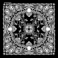  Adult Black Skeletal Paisley Print Bandanna Extra Large - 22 in x 22 in