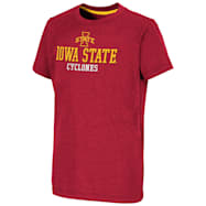 Kids' Iowa State Cyclones Red Team Graphic Crew Neck Short Sleeve Cotton T-Shirt