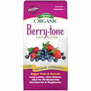 Organic Berry-tone Fruit & Berry Food