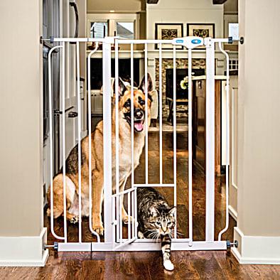 Short dog gate top