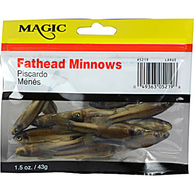 Magic Large Preserved Fathead Minnows