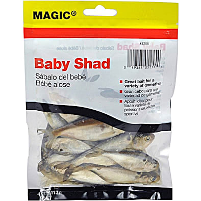Magic Products Medium Preserved Minnows 4 Ounce - Great Bait For Gamefish