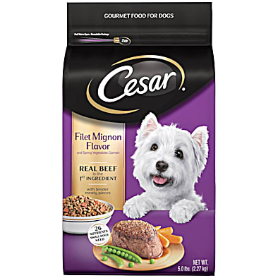 Cesar dry top puppy food