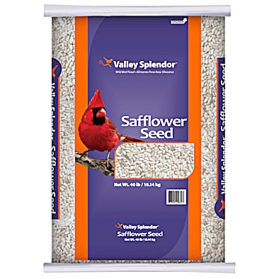 Safflower Seed Wild Bird Food by Valley Splendor at Fleet Farm