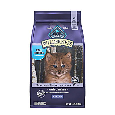 Kitten grain 2024 free food