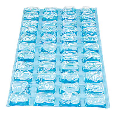 Igloo reusable 2025 ice sheet