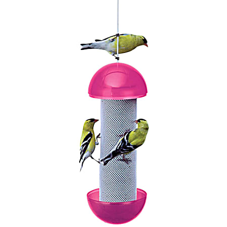 Have-A-Ball Finch Feeder Assorted