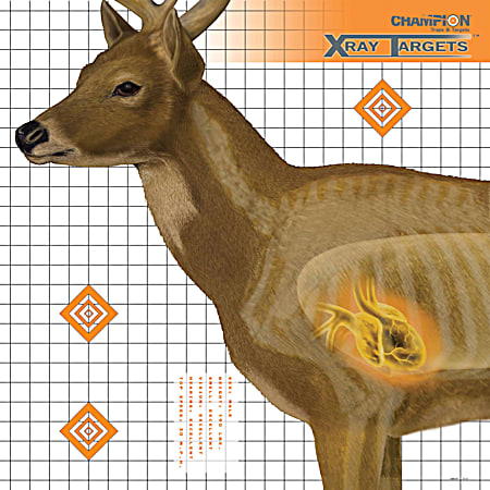 Champion XRAY 25 in x 25 in Deer Targets - 6 Pk