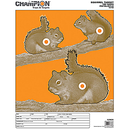Champion Vital Zone 14 in x 18 in Squirrel Targets - 12 Pk
