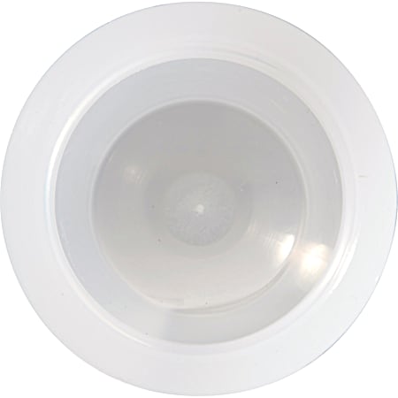 Frosted Globe Replacement Lens