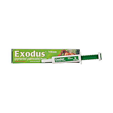 Exodus Paste - 23.6 Gram