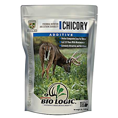 Chicory 1 lb Food Plot Performance Additive