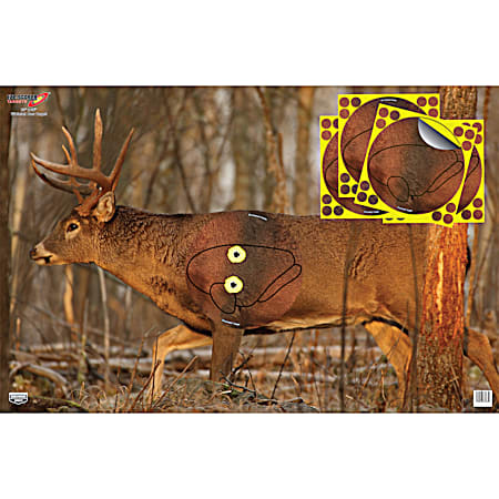 35 in x 23 in Whitetail Target w/ Shoot-N-C Overlays