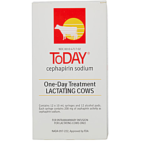 ToDAY Cephapirin Sodium One-Day Mastitis Treatment - 12 Ct