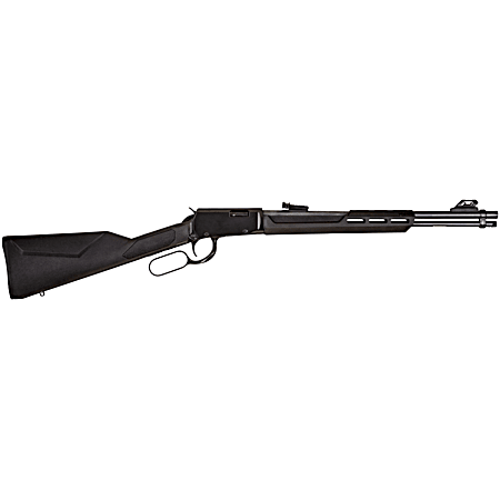 Rio Bravo 22 LR 18 in 15-Rounds Black Polymer Rifle