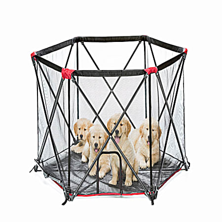 Carlson Pet Products Black & Red 6-Panel Portable Pet Pen