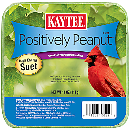 Positively Peanut High Energy Suet Bird Feed 11 oz