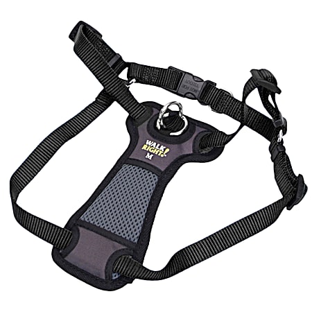 Front-Connect Padded Harness