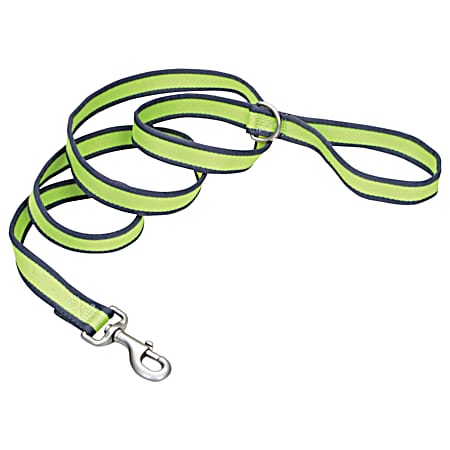 Pet Attire Pro Green & Grey Dog Leash