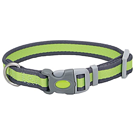 Pet Attire Green & Grey Adjustable Dog Collar 
