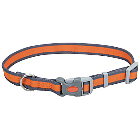 Pet Attire Orange & Grey Adjustable Dog Collar 