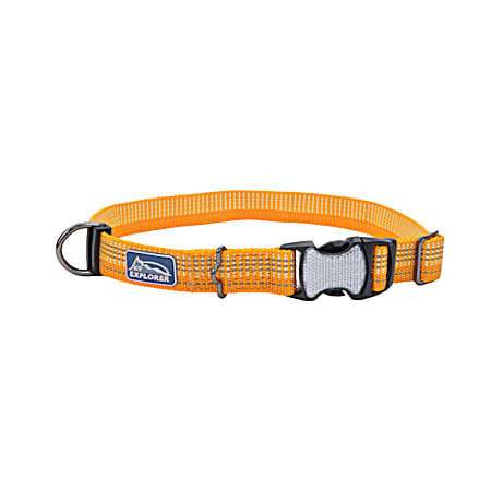 Brights Desert Reflective Adjustable Dog Collar