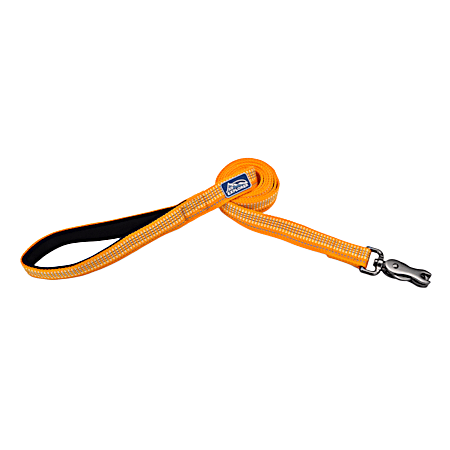1 in x 6 ft Brights Reflective Dog Leash