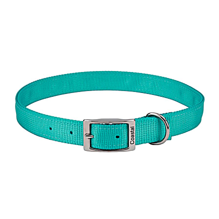 1 in x 20 in Teal Double-Ply Nylon Dog Collar