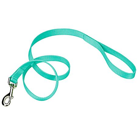 Teal Single-Ply Nylon Dog Leash