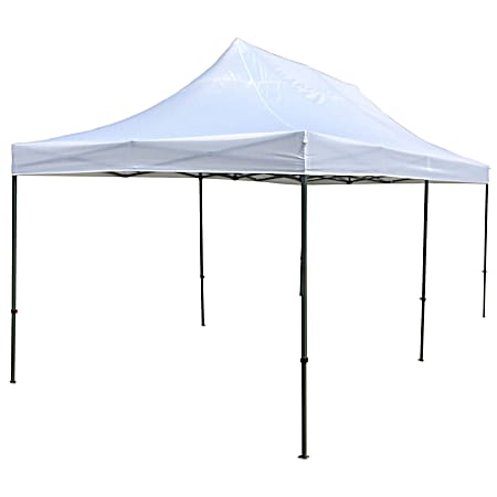 Field & Forest 10 ft x 20 ft Silver Instant Pop-Up Canopy