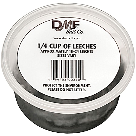 Leeches - 24 Pk