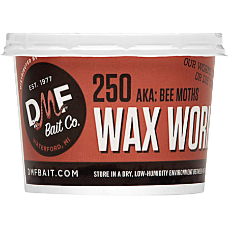 Wax Worms Bait - 250 Ct