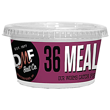 Meal Worms - 36 Ct