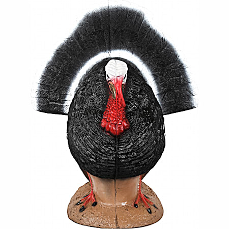 Strutter Turkey Target