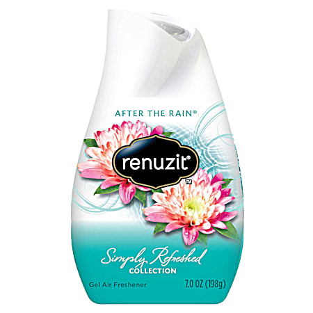 Renuzit 7 oz After The Rain Air Freshener