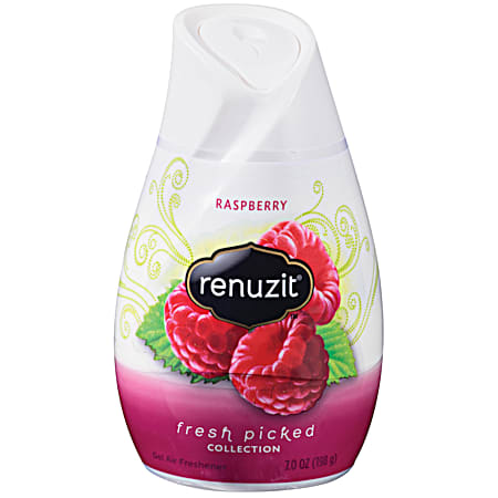 Renuzit 7 oz Raspberry Air Freshener